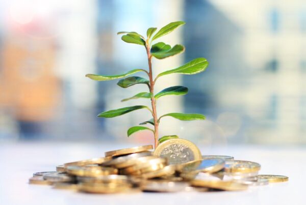 Education Consultants in UAE, Educational Consultancy UAE